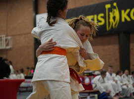 DSC07483.webp