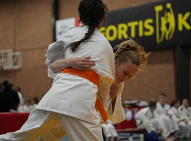 DSC07484.webp