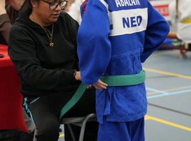 DSC07489.webp