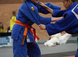 DSC07523.webp