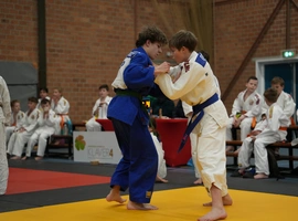 DSC07545.webp