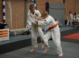 DSC07622.webp