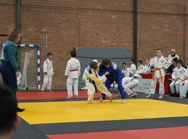 DSC07632.webp