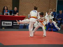 DSC07654.webp