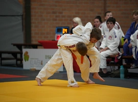 DSC07685.webp