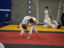 DSC07744.webp