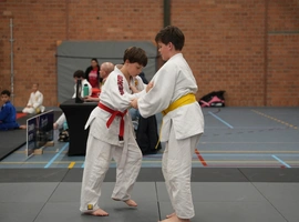 DSC07750.webp