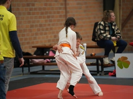 DSC07854.webp