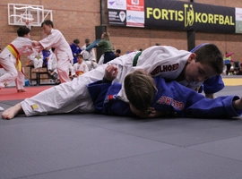 IMG_4963.webp