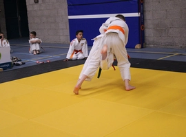 IMG_4986.webp