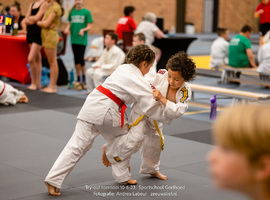 tryout-judo-geelhoed-zeeuwslief-12.jpg