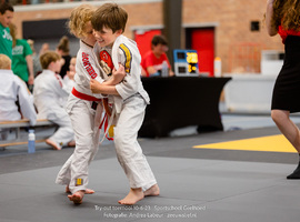 tryout-judo-geelhoed-zeeuwslief-16.jpg