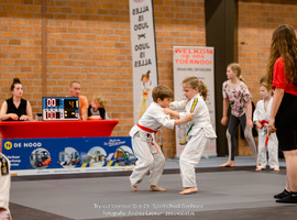 tryout-judo-geelhoed-zeeuwslief-2.jpg