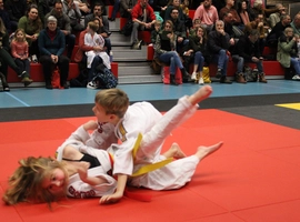 IMG_8508.webp
