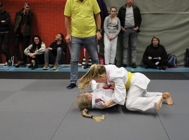IMG_8515.webp