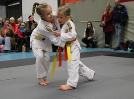 IMG_8523.webp