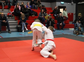 IMG_8525.webp