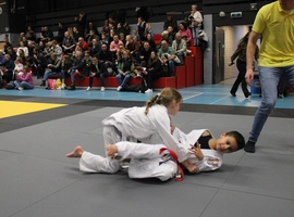 IMG_8547.webp