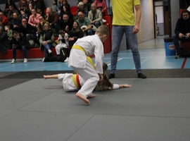 IMG_8559.webp