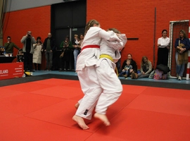 IMG_8570.webp