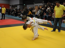 IMG_8593.webp