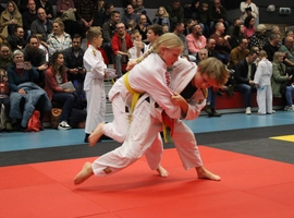 IMG_8608.webp