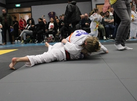 IMG_8624.webp