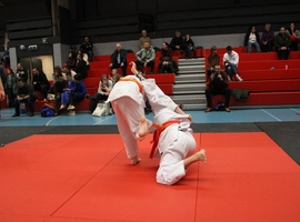 IMG_8772.webp