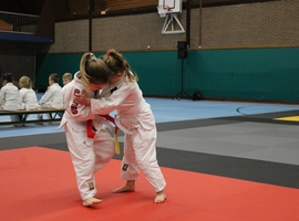 IMG_8908.webp