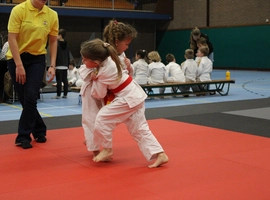 IMG_8911.webp