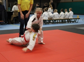 IMG_8914.webp