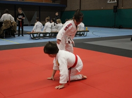IMG_8915.webp