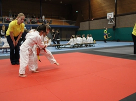 IMG_8918.webp