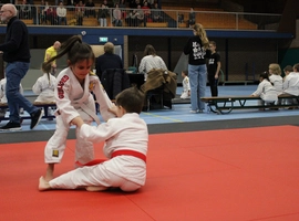 IMG_8919.webp