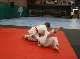 IMG_8987.webp