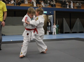 IMG_8992.webp