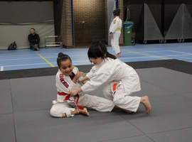 IMG_9073.webp