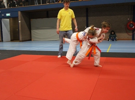IMG_9082.webp