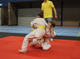 IMG_9084.webp