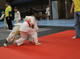 IMG_9120.webp
