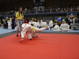 IMG_9123.webp