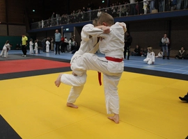 IMG_9154.webp