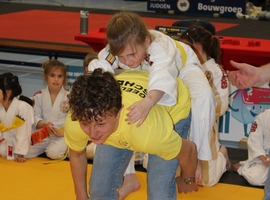 IMG_9186.webp