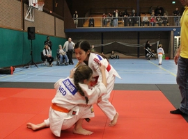 IMG_9215.webp