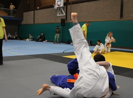 IMG_9223.webp