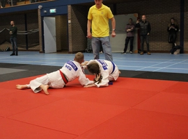 IMG_9230.webp