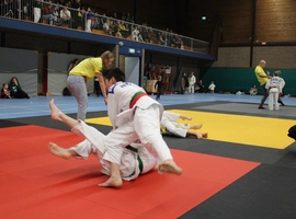 IMG_9240.webp
