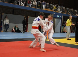 IMG_9241.webp