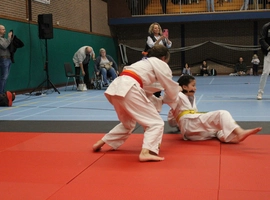 IMG_9248.webp