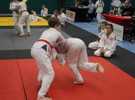 IMG_9260.webp